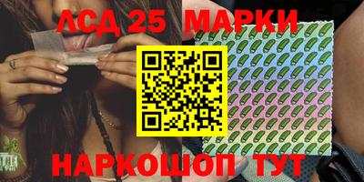 гашик Дубна