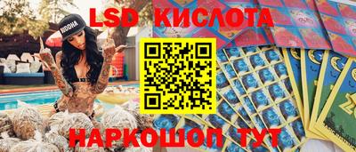 гашик Дубна