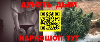 гашик Дубна