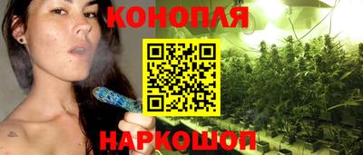 гашик Дубна