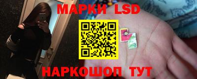 мдпв Донской