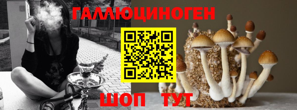 Псилоцибиновые грибы MAGIC MUSHROOMS Мыски