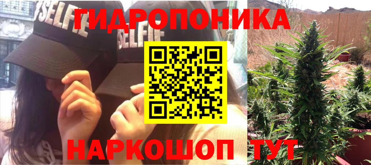 Мыски  Конопля индика  Вход с VPN  Канабис ГИДРОПОН 